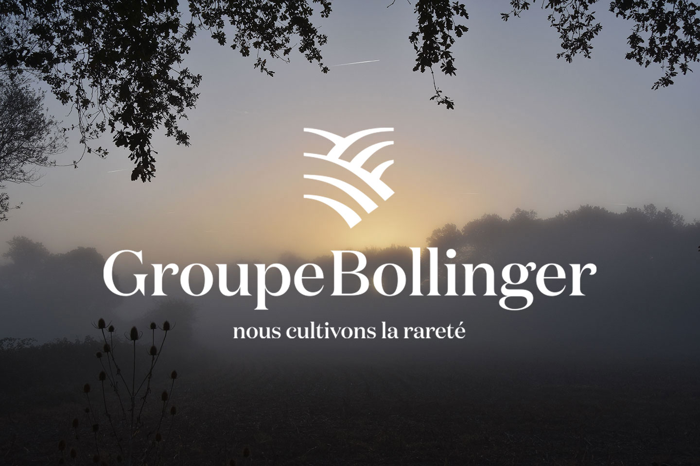 Groupe Bollinger, Let us tell you a story…